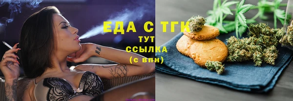 индика Баксан